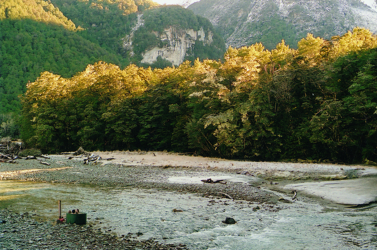 Kiwitub in the great New Zealand outdoors