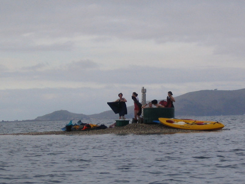 Kiwitub in the middle of Otago Harbour